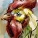 tattoo galleries/ - Chicken painting
